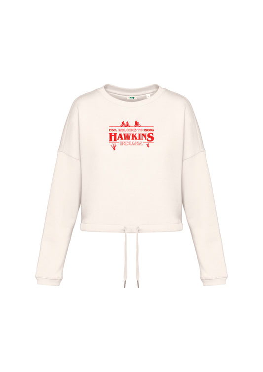 Sudadera cropped Hawkins Stranger Things bordada